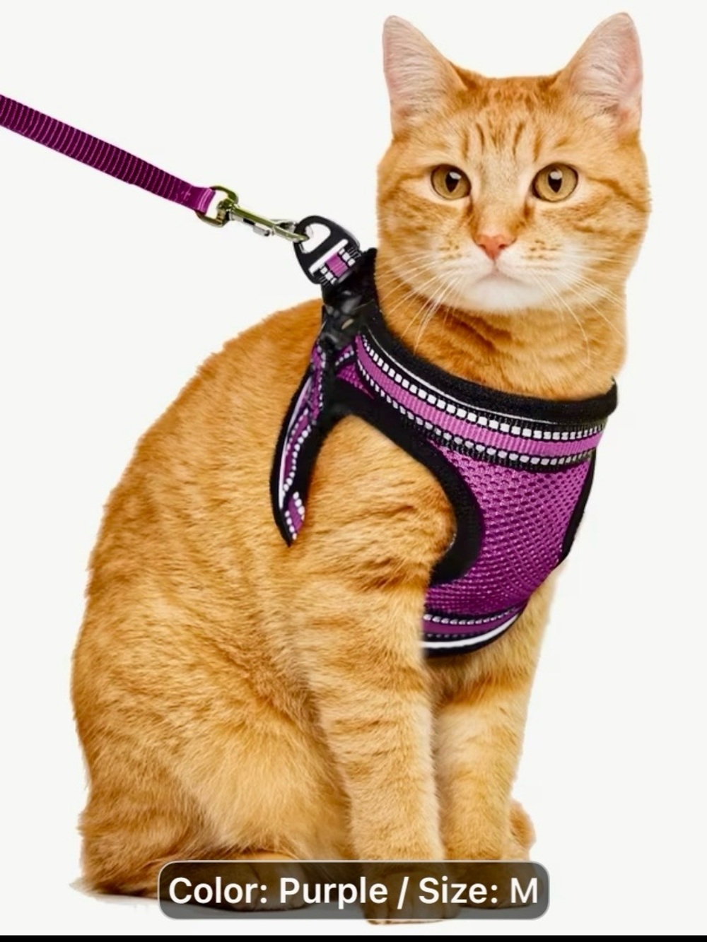 Dog or cat mesh body harness with matching leash. Too small for our 20lb cats.